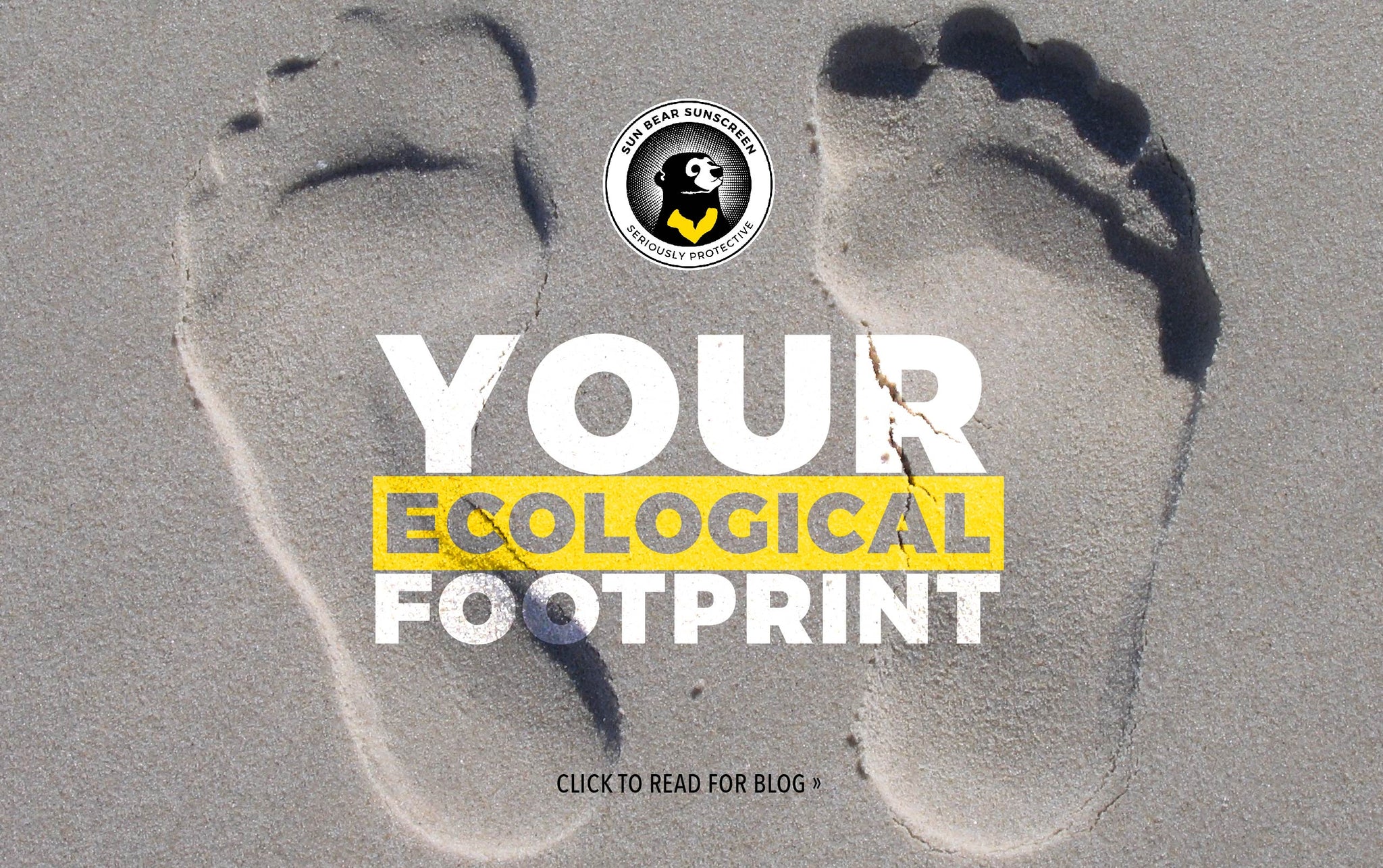 What's Your Footprint?